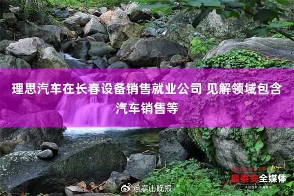 理思汽车在长春设备销售就业公司 见解领域包含汽车销售等