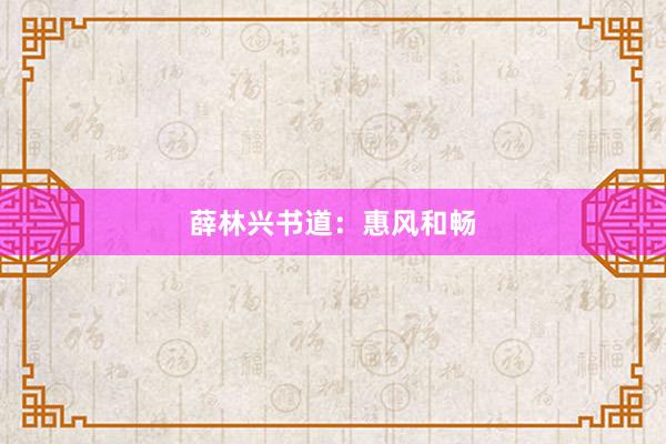 薛林兴书道：惠风和畅