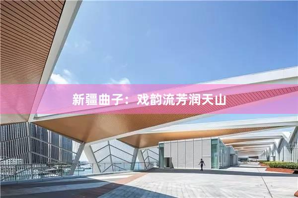 新疆曲子：戏韵流芳润天山