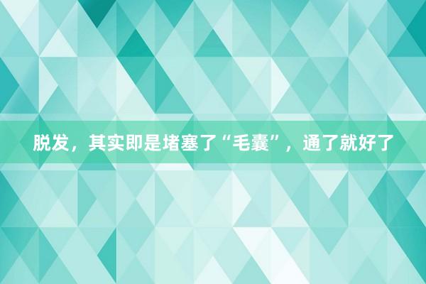 脱发,其实即是堵塞了“毛囊”,通了就好了