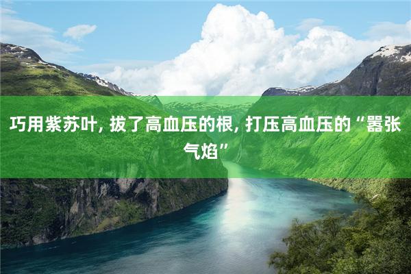 巧用紫苏叶, 拔了高血压的根, 打压高血压的“嚣张气焰”
