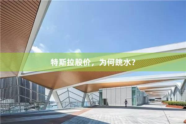 特斯拉股价，为何跳水？