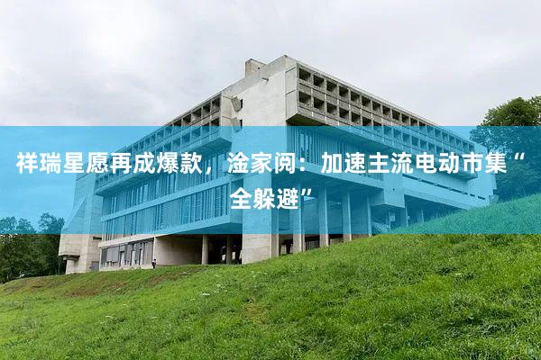 祥瑞星愿再成爆款，淦家阅：加速主流电动市集“全躲避”