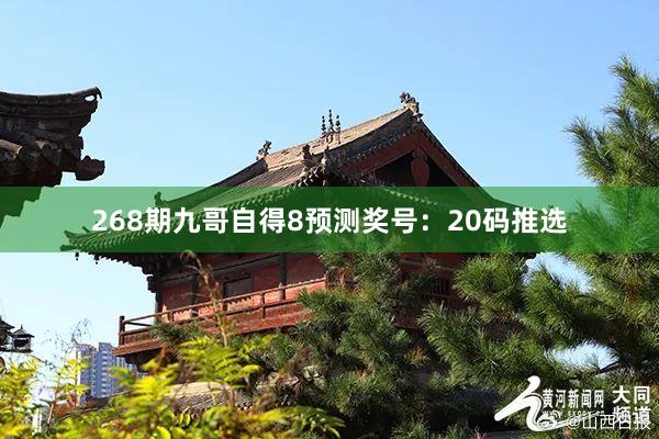 268期九哥自得8预测奖号：20码推选