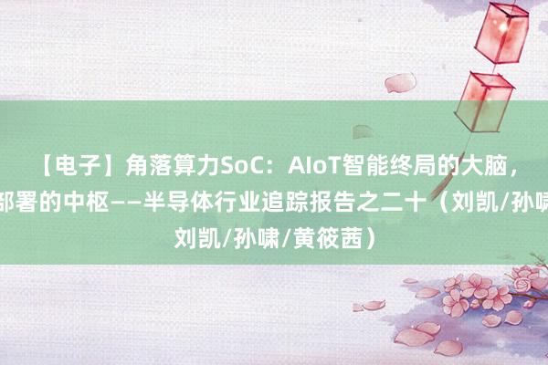 【电子】角落算力SoC：AIoT智能终局的大脑，端侧算法部署的中枢——半导体行业追踪报告之二十（刘凯/孙啸/黄筱茜）
