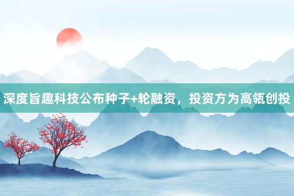 深度旨趣科技公布种子+轮融资，投资方为高瓴创投