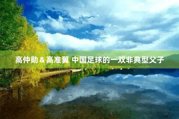 高仲勋＆高准翼 中国足球的一双非典型父子