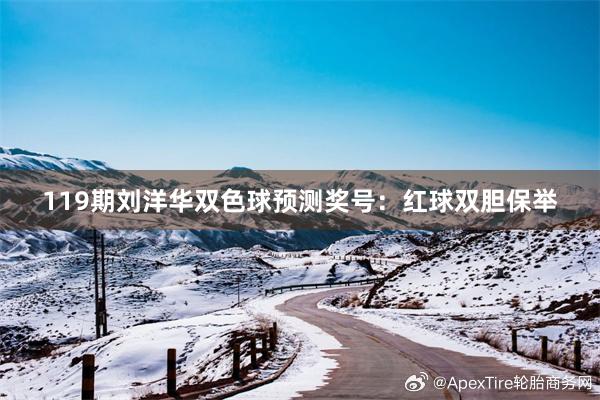 119期刘洋华双色球预测奖号：红球双胆保举