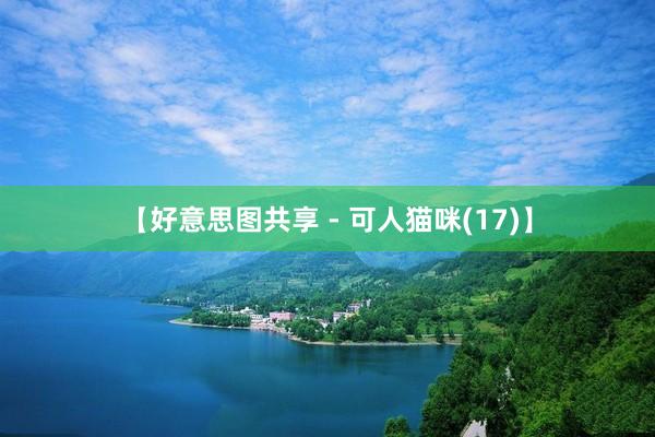 【好意思图共享 - 可人猫咪(17)】