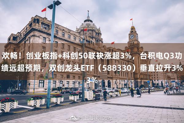 欢畅！创业板指+科创50联袂涨超3%，台积电Q3功绩远超预期，双创龙头ETF（588330）垂直拉升3%