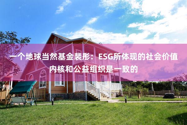 一个地球当然基金裴彤：ESG所体现的社会价值内核和公益组织是一致的