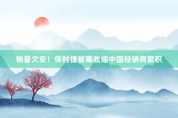 销量欠安！保时捷被曝收缩中国经销商聚积