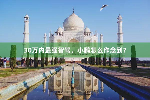 30万内最强智驾，小鹏怎么作念到？