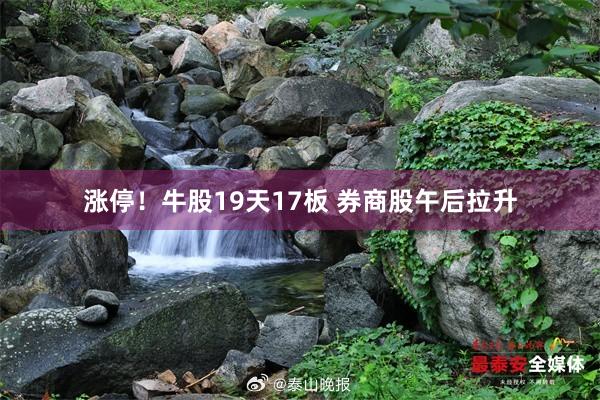 涨停！牛股19天17板 券商股午后拉升