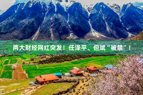 两大财经网红突发！任泽平、但斌“被禁”！