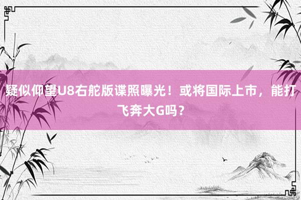 疑似仰望U8右舵版谍照曝光！或将国际上市，能打飞奔大G吗？