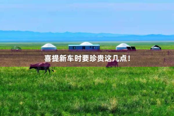 喜提新车时要珍贵这几点!