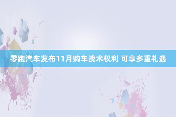 零跑汽车发布11月购车战术权利 可享多重礼遇