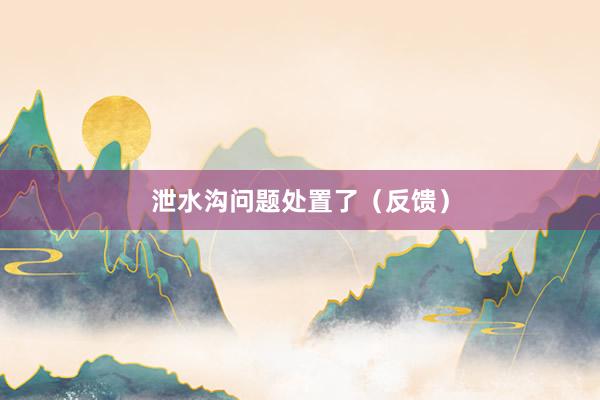 泄水沟问题处置了（反馈）