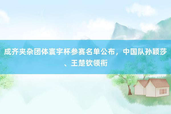 成齐夹杂团体寰宇杯参赛名单公布，中国队孙颖莎、王楚钦领衔