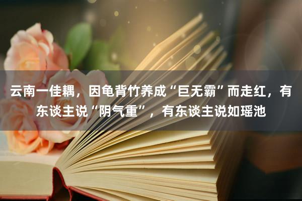 云南一佳耦，因龟背竹养成“巨无霸”而走红，有东谈主说“阴气重”，有东谈主说如瑶池