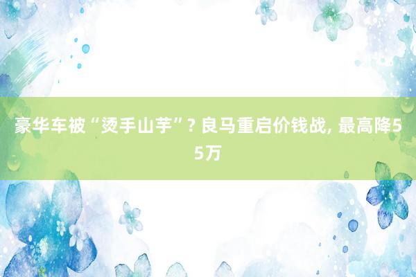豪华车被“烫手山芋”? 良马重启价钱战, 最高降55万