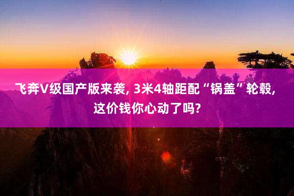 飞奔V级国产版来袭, 3米4轴距配“锅盖”轮毂, 这价钱你心动了吗?